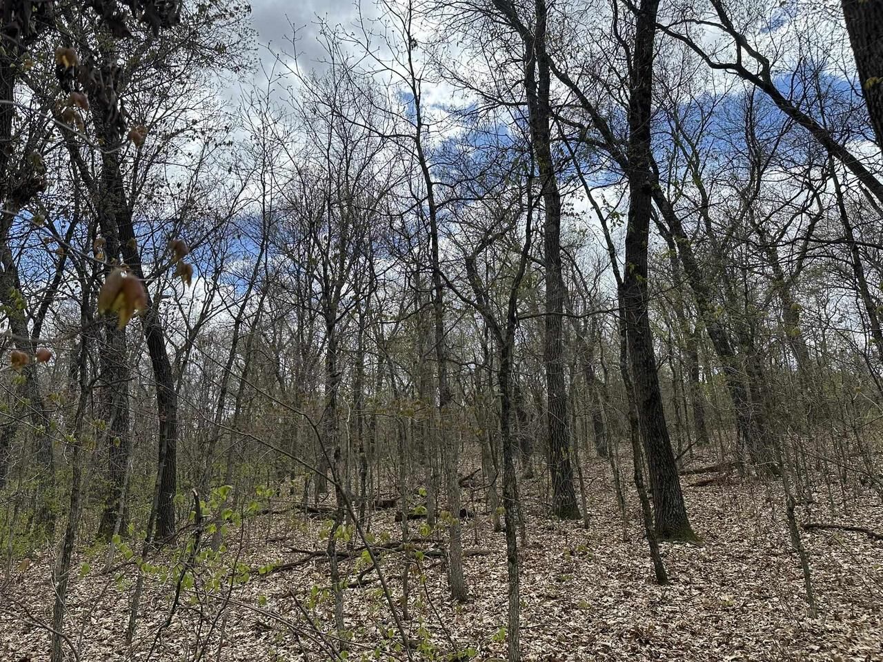Property Photo: 8.81 Ac Raedel Lane WI 53965