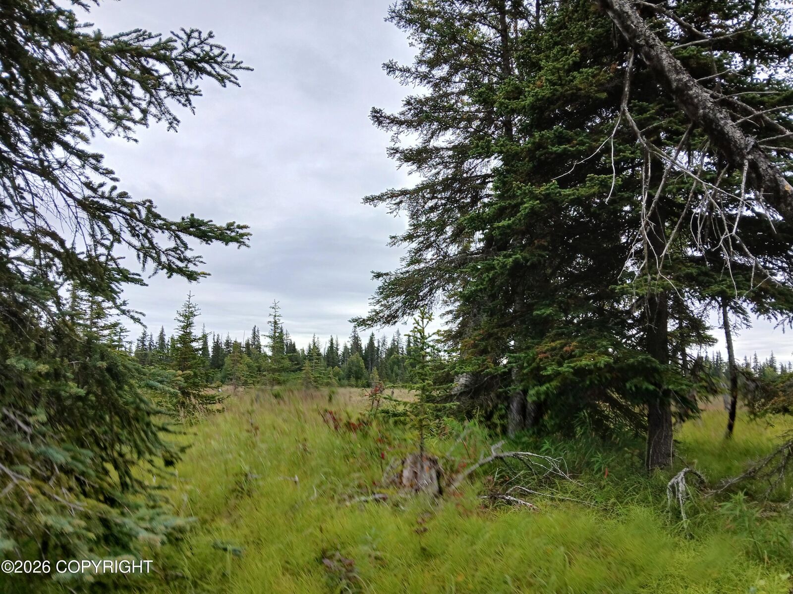 Property Photo:  L17 Marik Street  AK 99556 