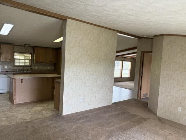 Property Photo:  5925 Summersville Lake  WV 26651 