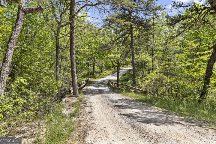 Property Photo:  0 Neals Brow Road  GA 30731 