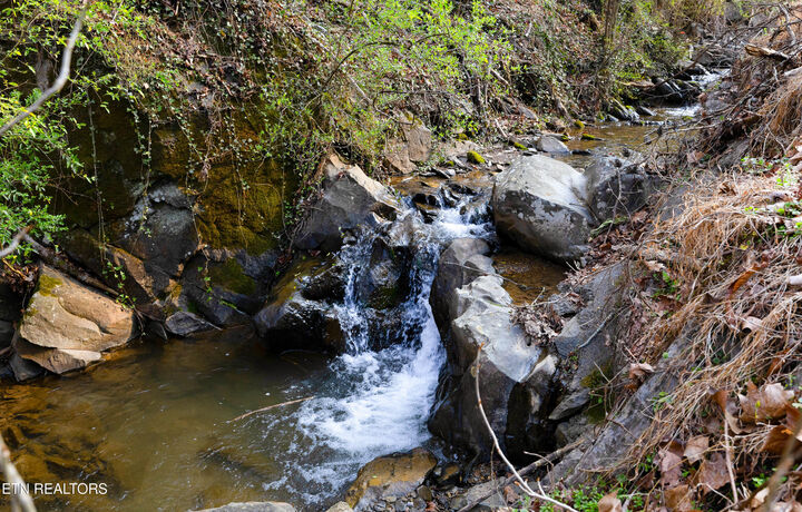 Property Photo:  401 King Branch Rd  TN 37876 