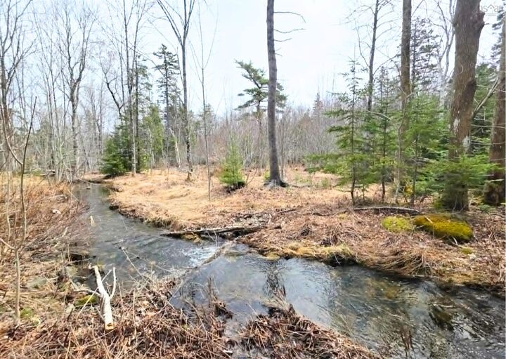 Property Photo:  0 Upper Leitches Creek Road  NS B2A 1Z2 