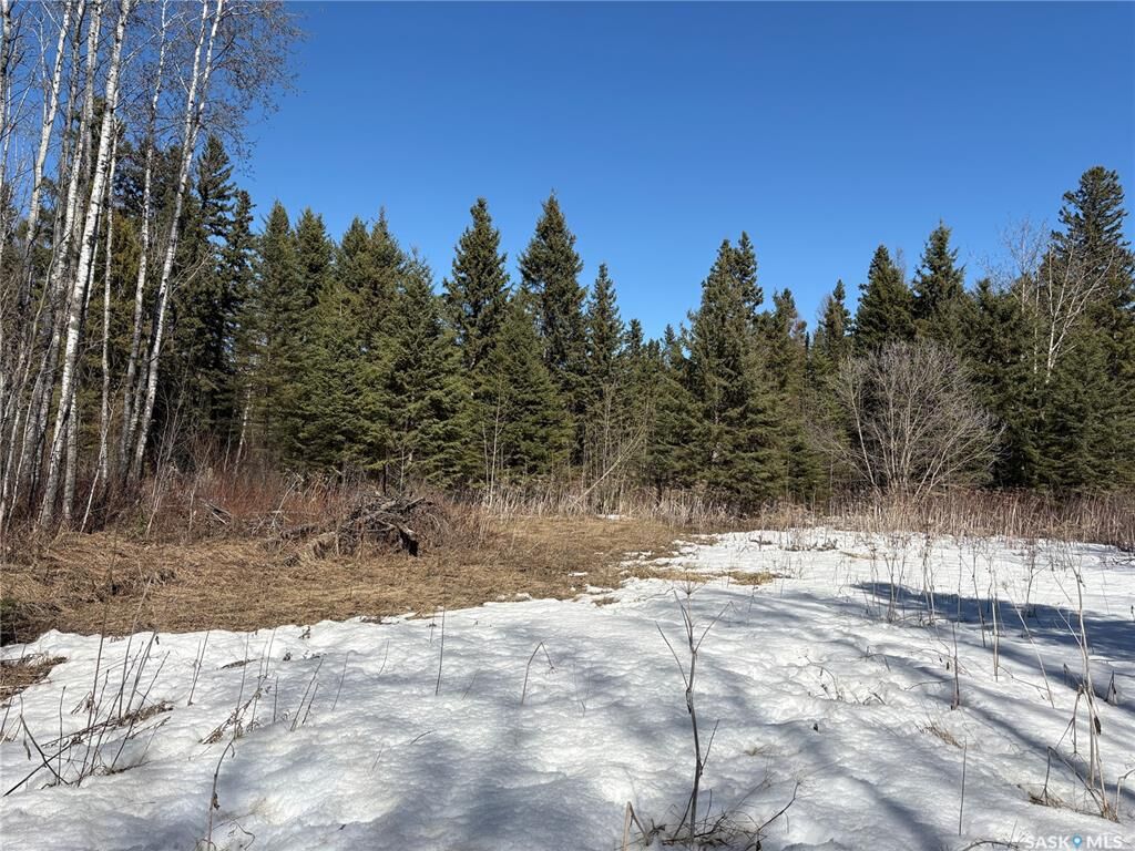 Property Photo:  Rural Address  SK S0J 0E0 