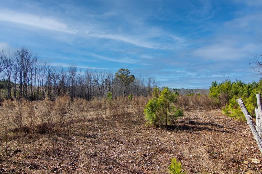Property Photo:  Tract 6 - 0 Chestnut Grove Road  GA 31826 