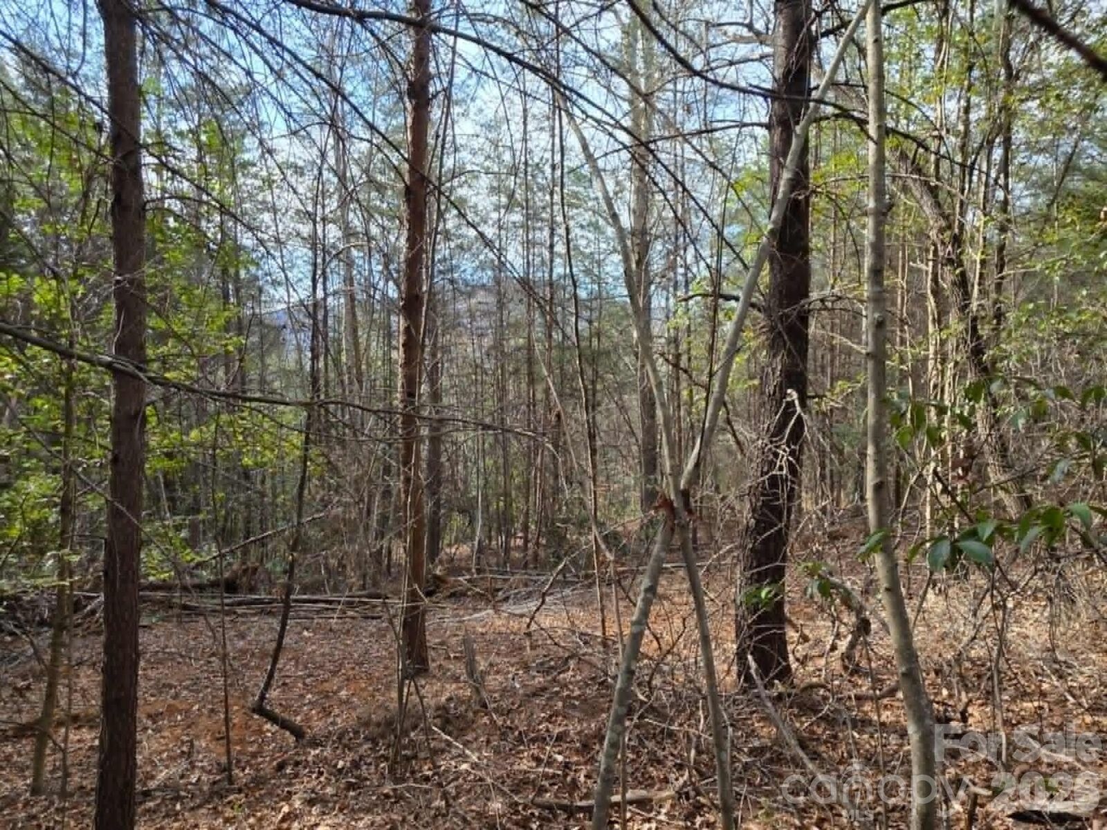 Property Photo:  Lot 6 Kerlee Lane  NC 28762 