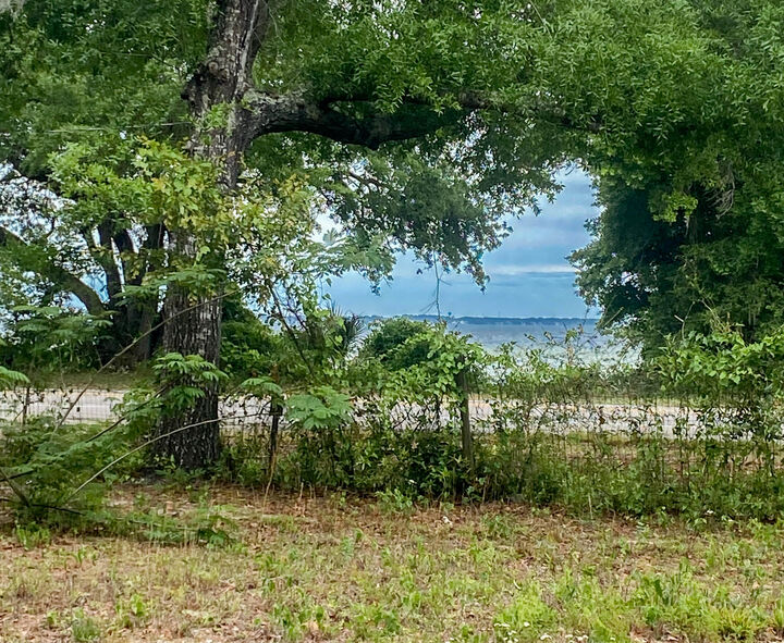 Property Photo:  14332 Florida 20  FL 32439 