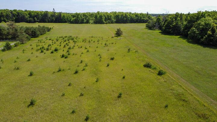 Property Photo: 7.25 Acres E Traynor Rd MI 49736