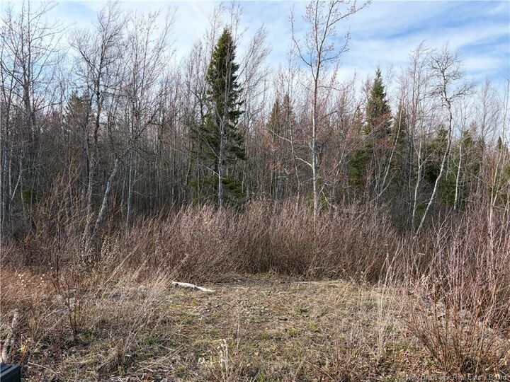 Property Photo:  Lot 2 Cocagne Sud  NB E4R 2C9 
