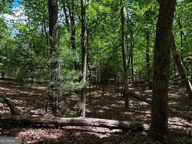Property Photo:  Lot 43 Edgewood Trail  GA 30512 