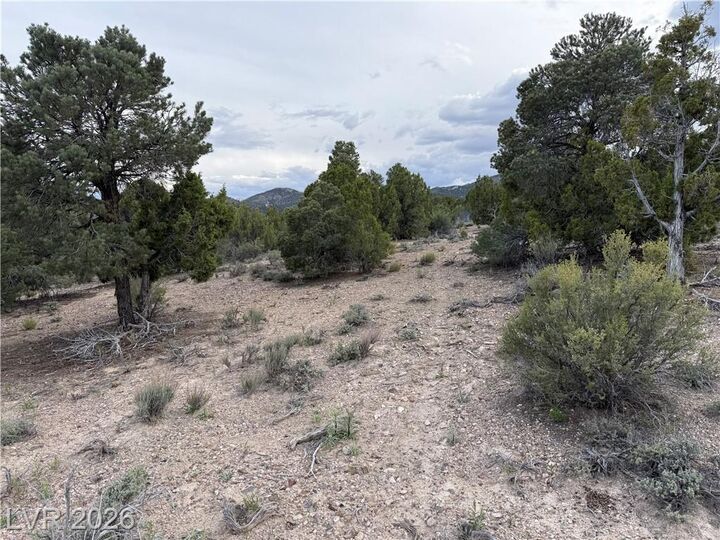 Property Photo:  0 Timber Crest Way  NV 89043 