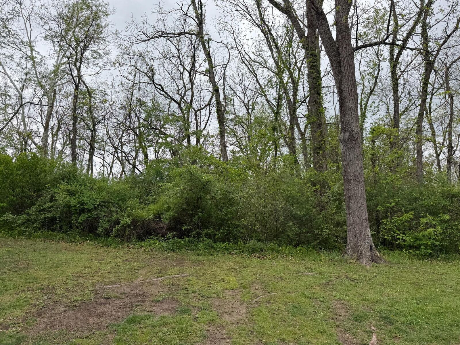 Property Photo:  Alta Dr  WV 24910 