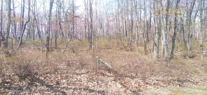 Property Photo: Erii 398 Crooked Stick Lane PA 18202