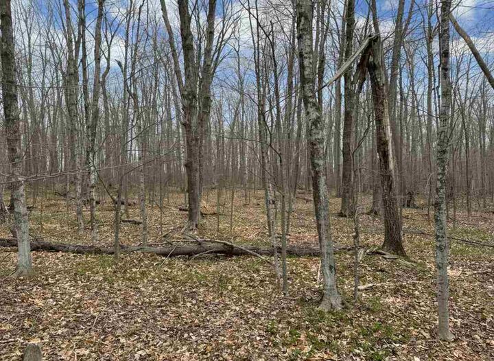 Property Photo:  1.7 Acre Latocha  MI 49769 