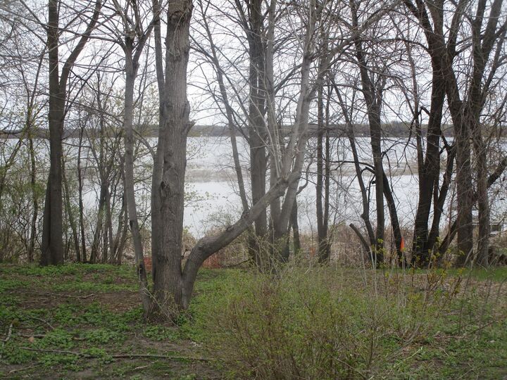 Property Photo:  15684 County Road 102 NE  MN 56361 