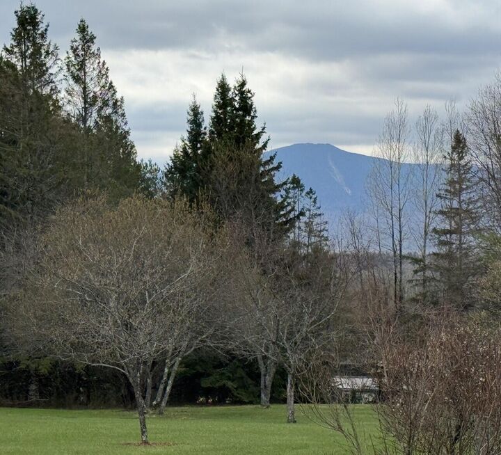 Property Photo: 18 Turkey Run Road NY 12989