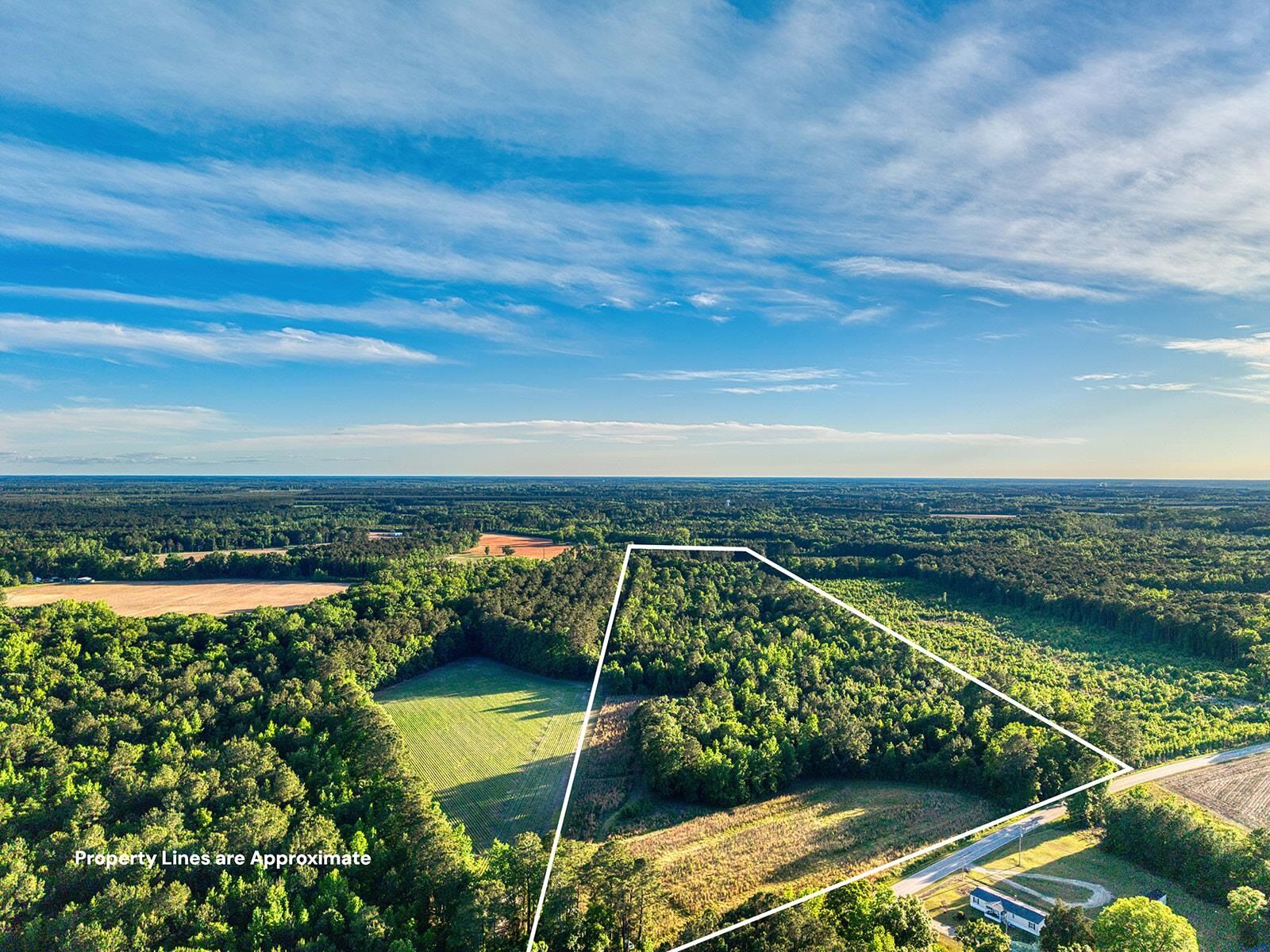 Property Photo:  Tbd Chair Rd.  SC 29554 