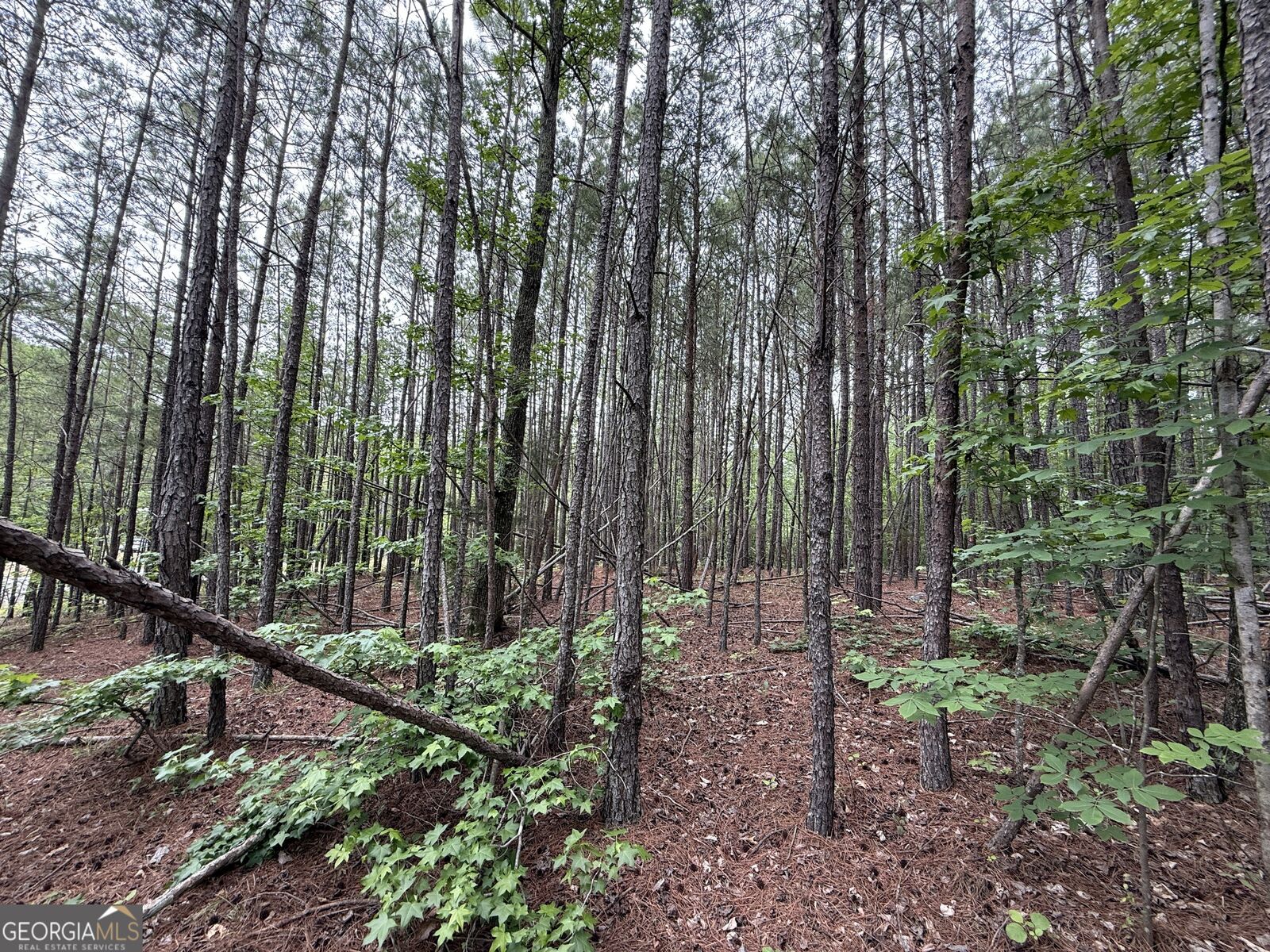Property Photo:  0 Natures Walk Drive  GA 30165 