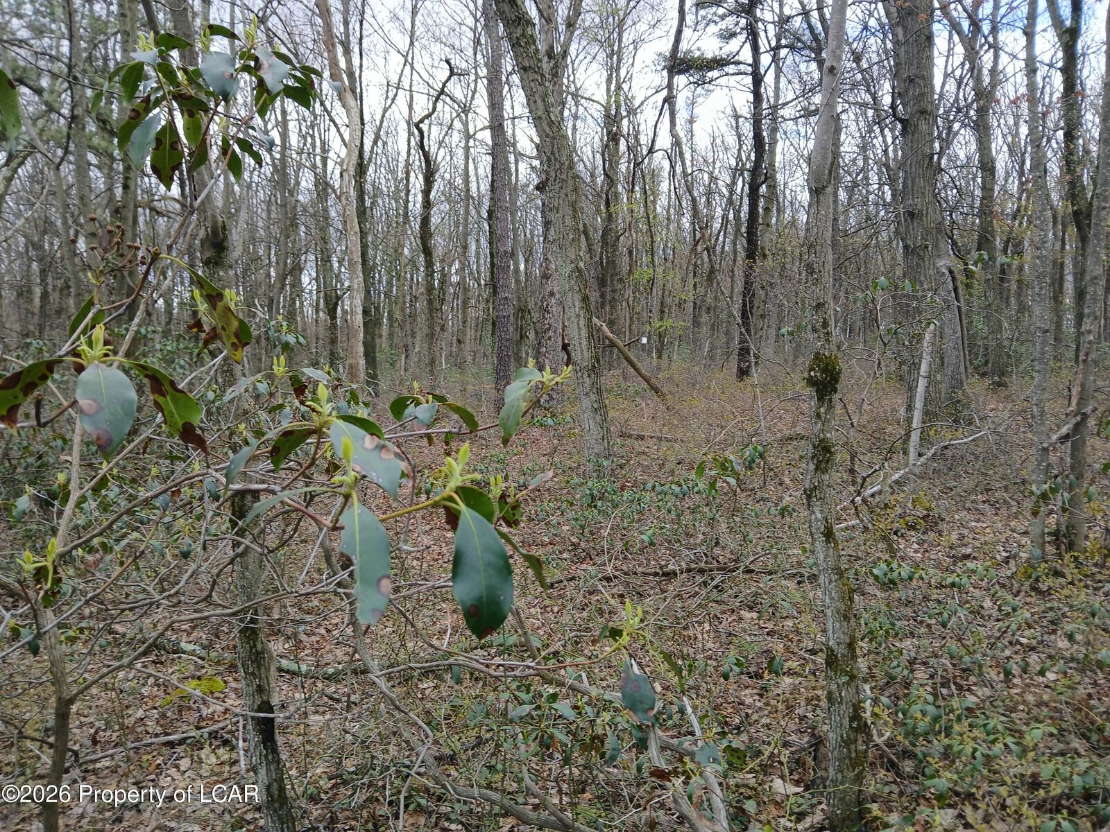 Property Photo: 007 Harleigh Terrace Road PA 18202