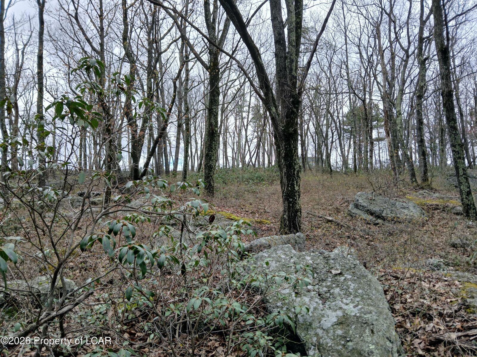 Property Photo: 005 Harleigh Terrace Road PA 18202