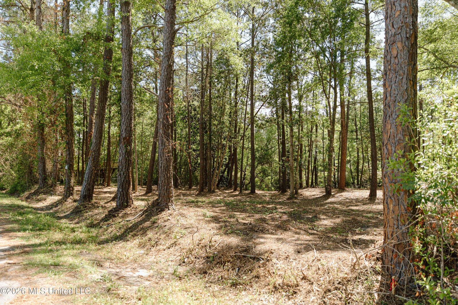 Property Photo:  Honduras Drive  MS 39553 