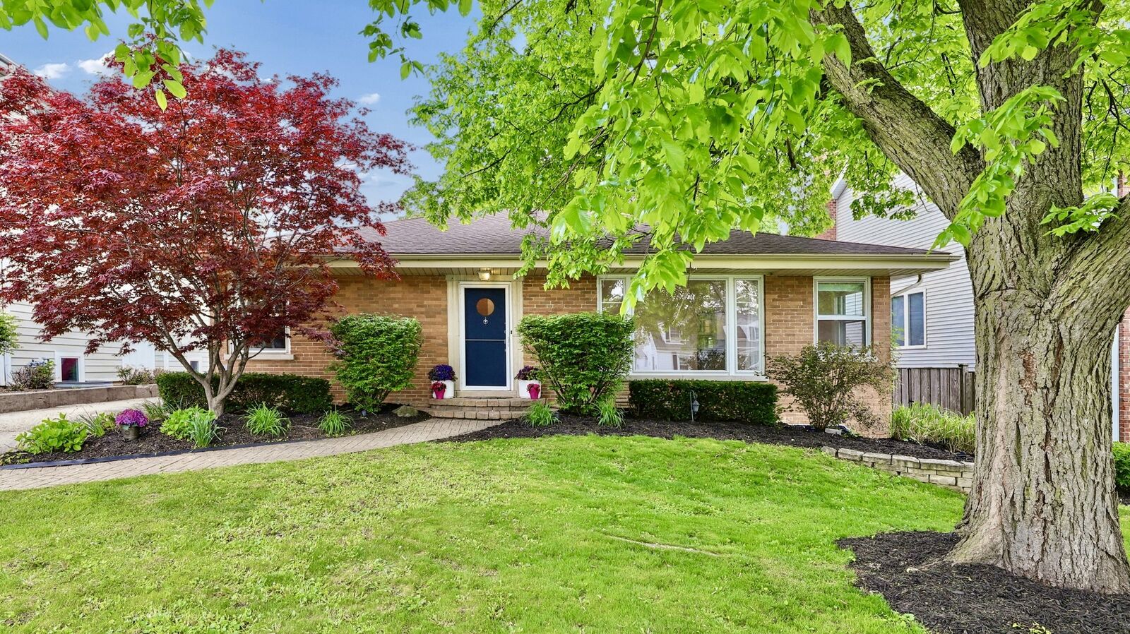 Property Photo:  893 S Poplar Avenue  IL 60126 