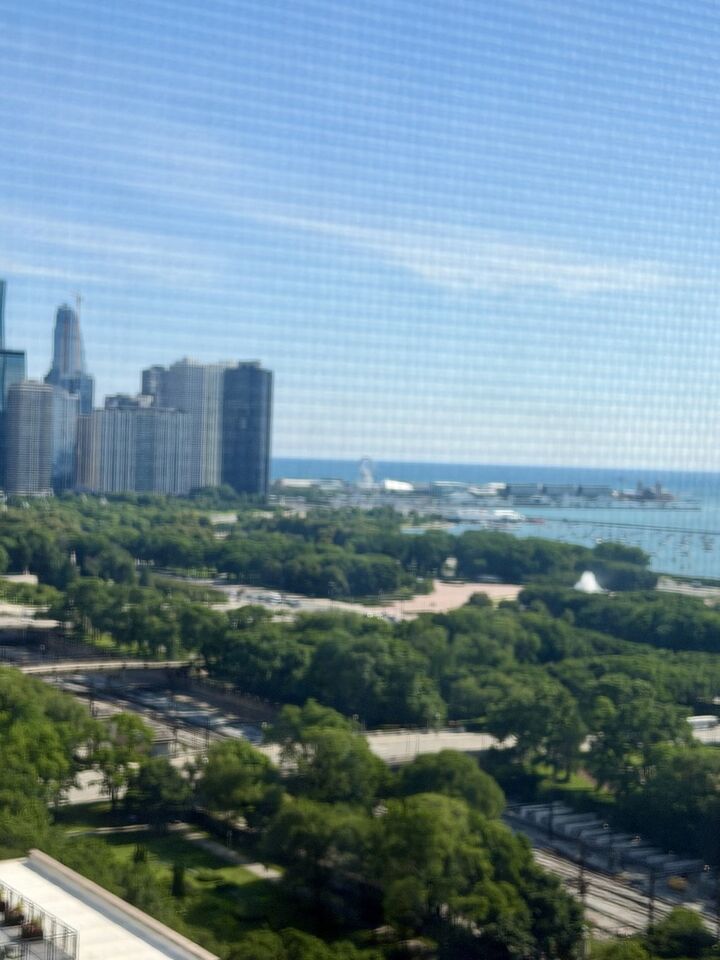 Property Photo: 910 S Michigan Avenue 1705 IL 60605