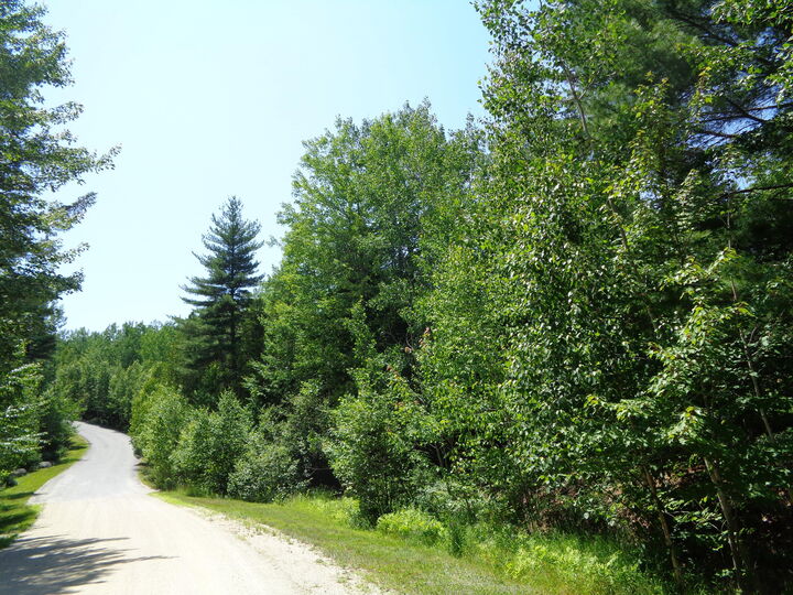 Property Photo: Lot20-20 Bailey Mountain Road ME 04634