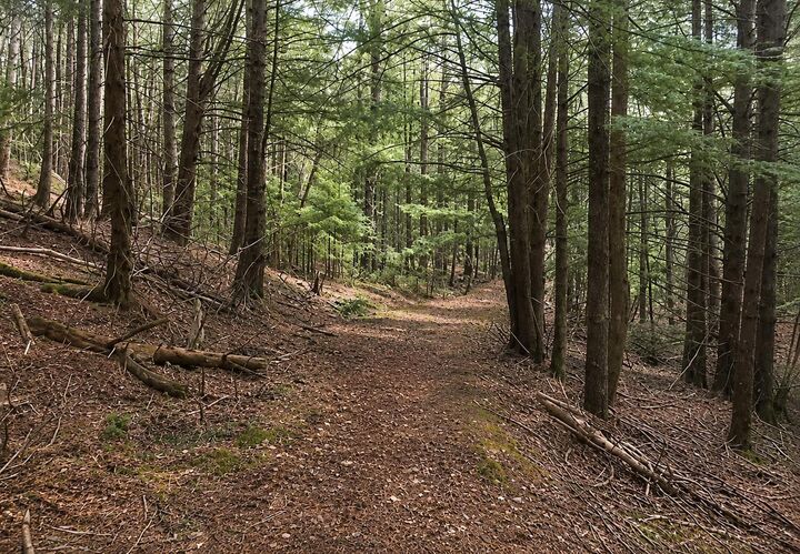 Property Photo:  2557 Cornwall Road Road  NS B0J 2E0 