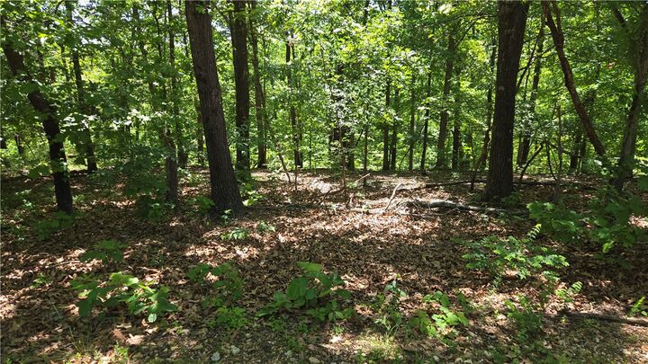 Property Photo:  Tummell Drive  AR 72715 