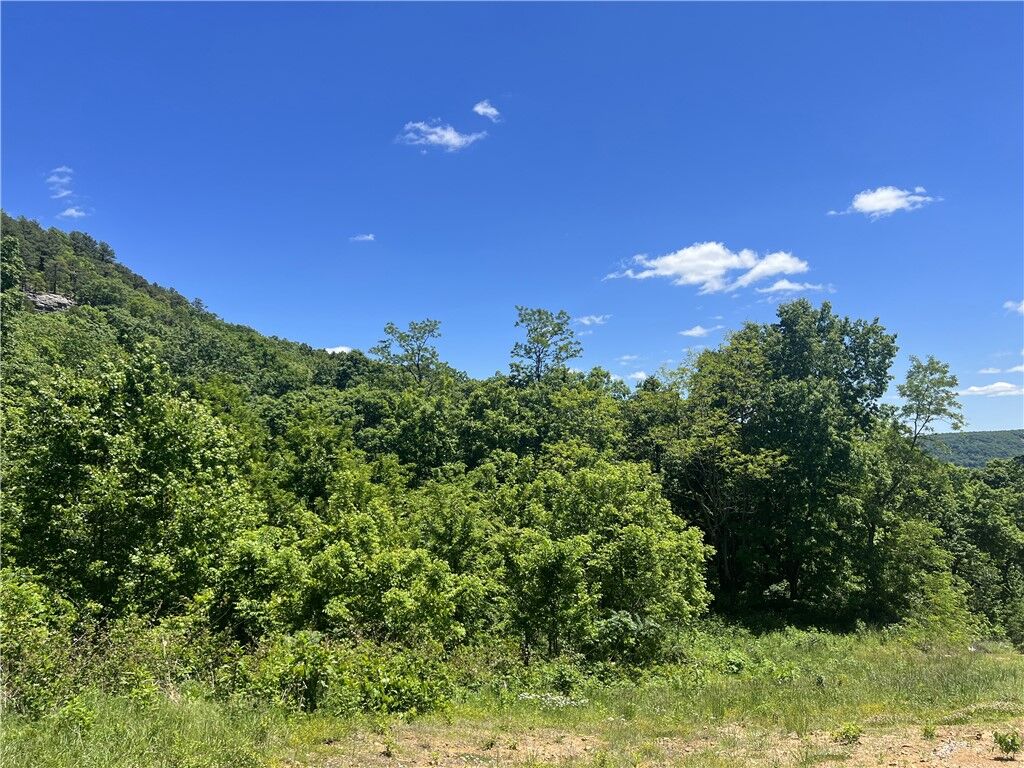 Property Photo:  Terrapin Road  AR 72601 