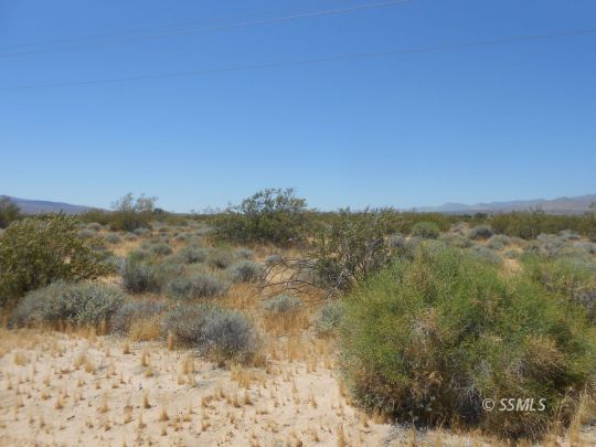Property Photo:  Mercury  CA 93527 