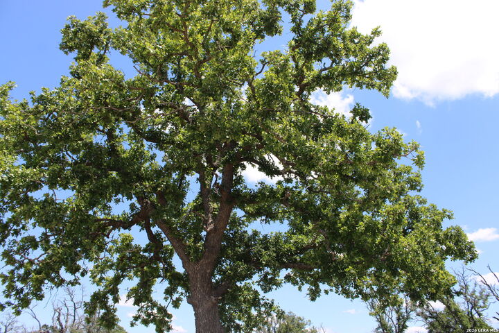 Property Photo:  132 Pack Saddle Ln  TX 78624 