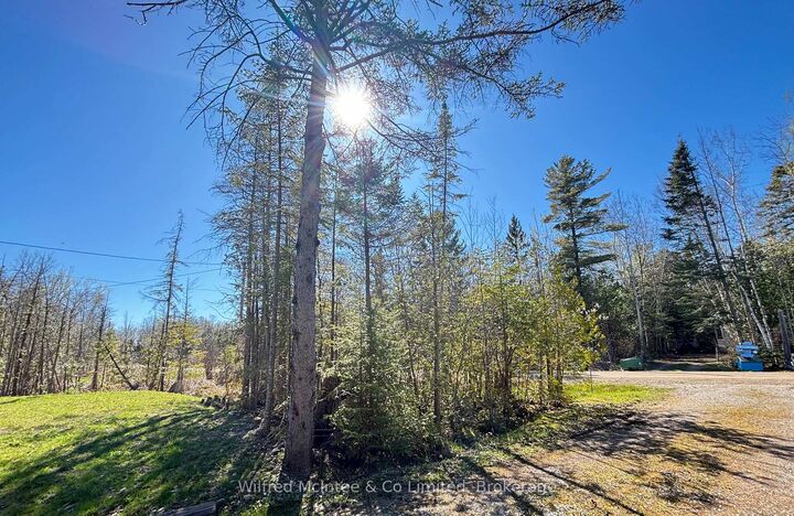 Property Photo: 26 Thompson Avenue ON N0H 2L0