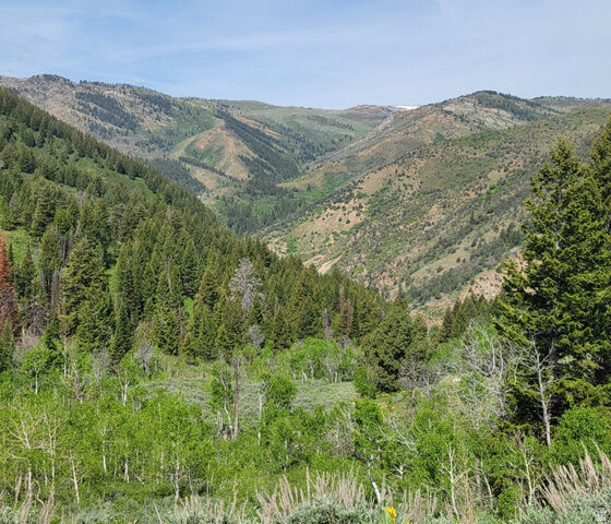Property Photo:  Unknown  UT 84317 