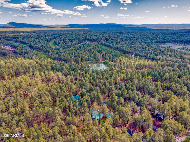 Property Photo:  2982 Hummingbird Lane  AZ 85935 