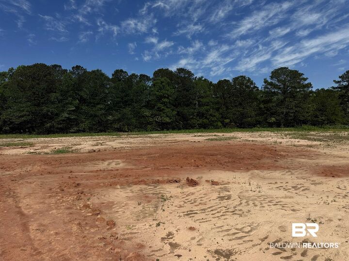 Property Photo:  Lot 2, 0 T Bridge Road  AL 36474 