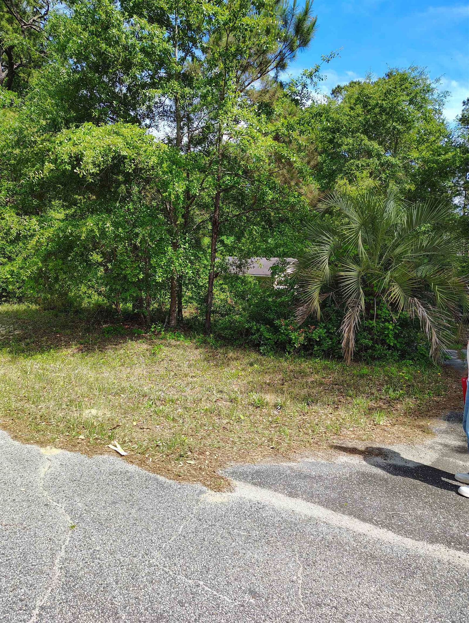 Property Photo: 166 Telfair Rd. SC 29440