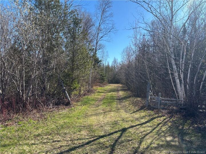 Property Photo:  11.98 Acres Chemin Tremblay  NB E8J 1A6 