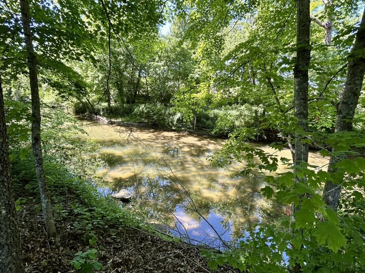 Property Photo:  290 Mayfield Hollow Road  KY 42501 