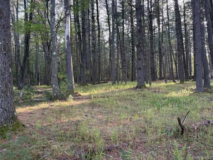 Property Photo:  Airport Road  NY 12732 