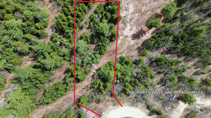 Property Photo: Lot 11 Bailey Mountain Road ME 04634