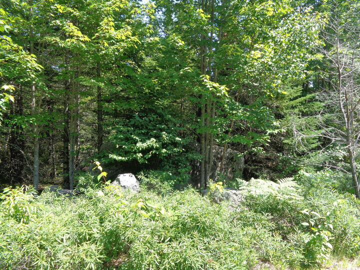 Property Photo: Lot 11 Bailey Mountain Road ME 04634