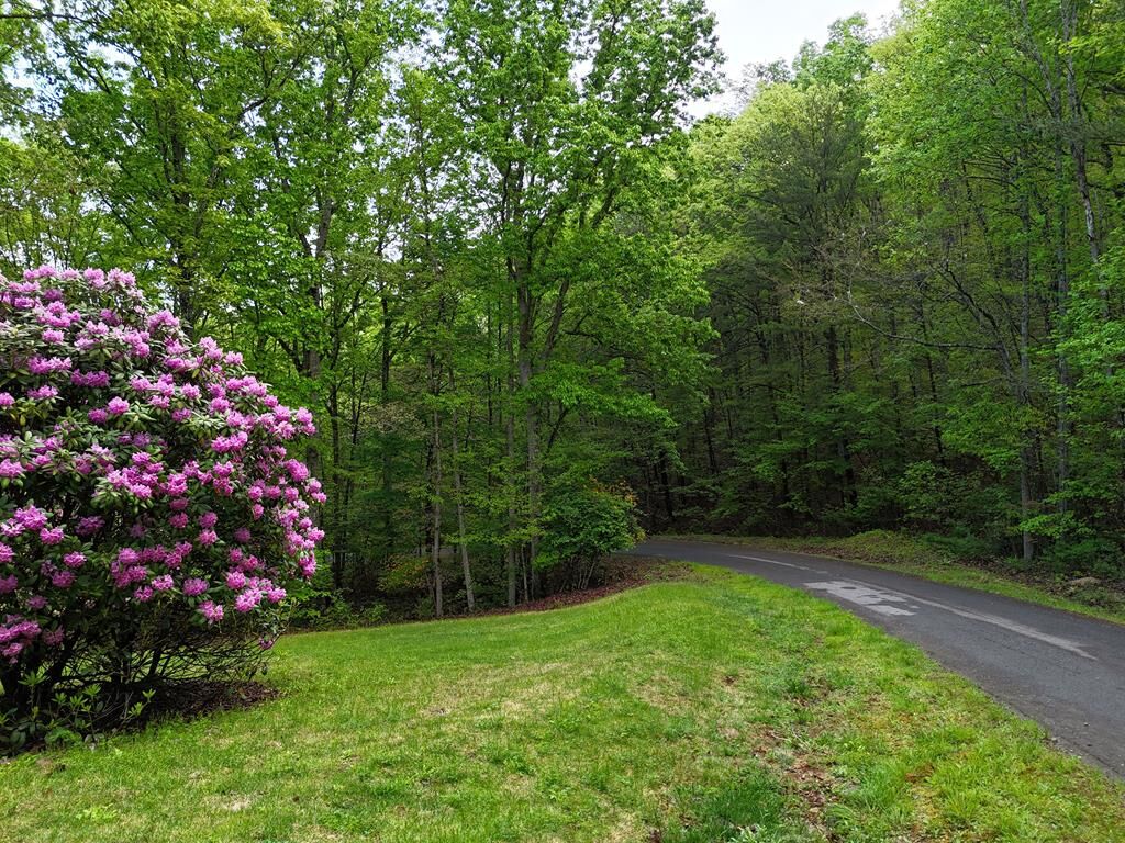 Property Photo:  L93-95 Timberline  GA 30582 