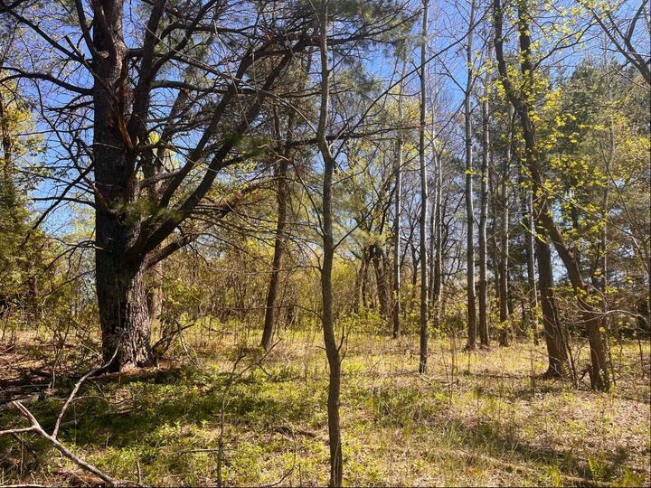 Property Photo:  23xx River Road  WI 54024 