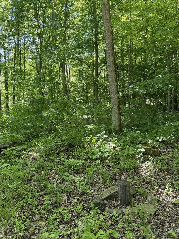 Property Photo: 560 Sunfish Creek Road OH 45690