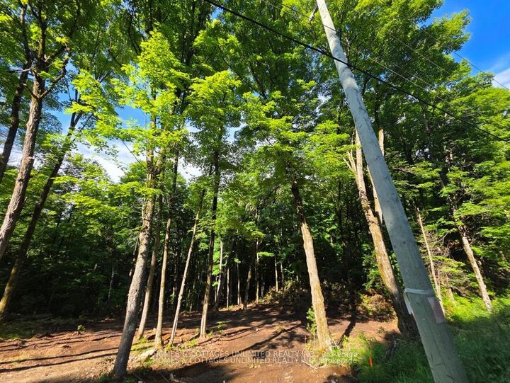 Property Photo: 2456 Conc Dalhousie Concession ON K0G 1K0