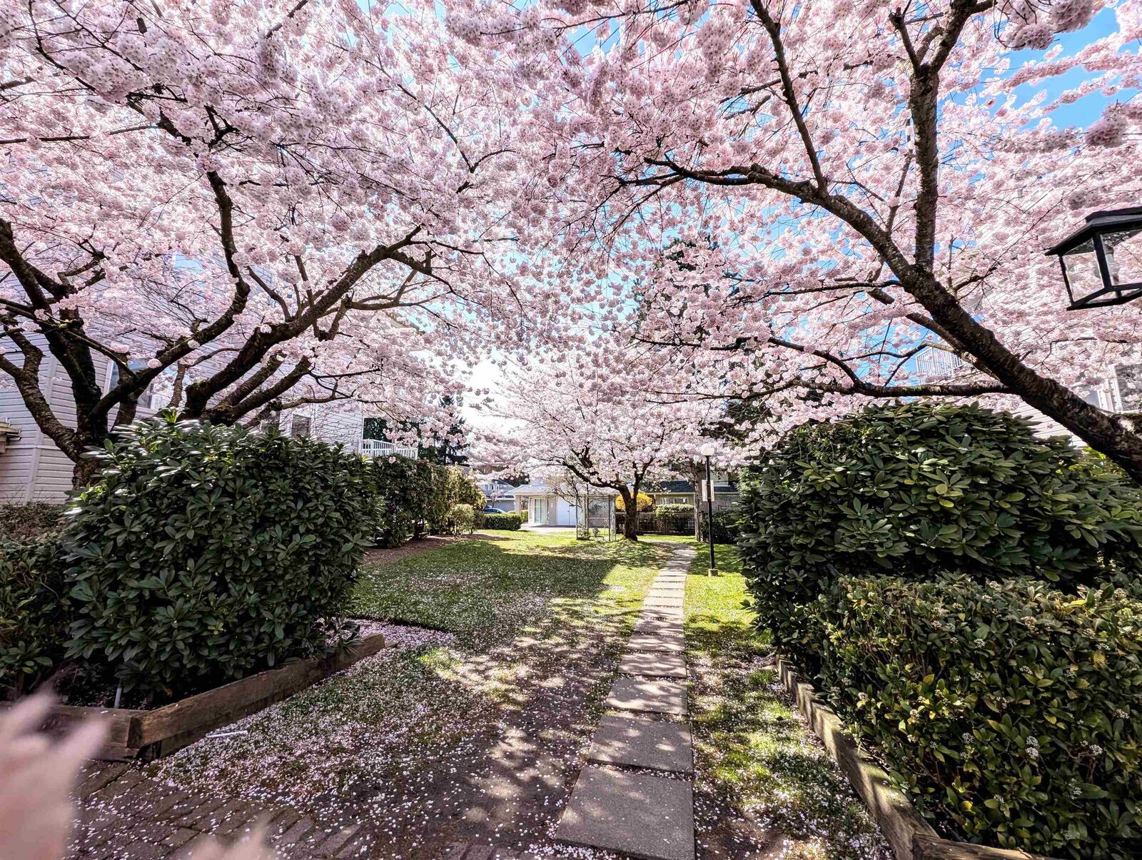 Property Photo:  9948 151 Street 311  BC V3R 0V6 