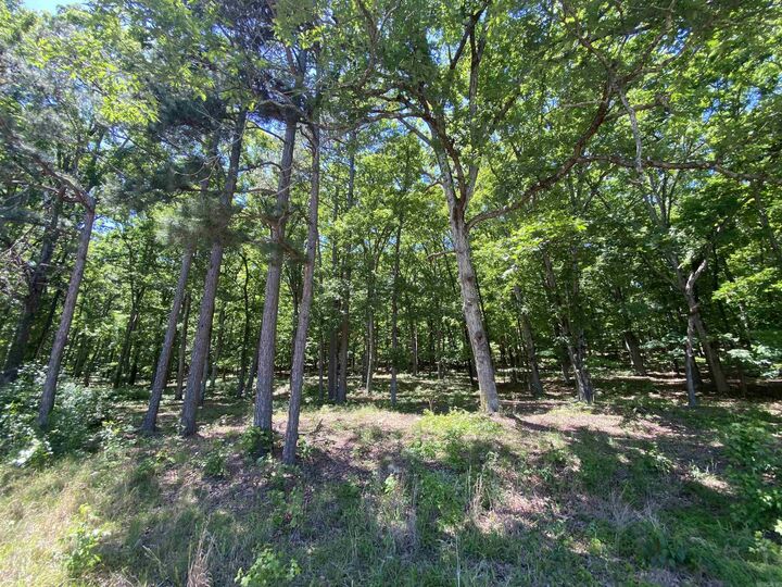 Property Photo:  215 Watersedge Drive  AR 72044 