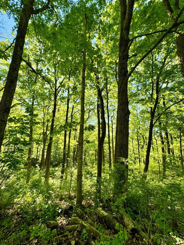 Property Photo:  0 Kentucky Avenue  IN 47060 