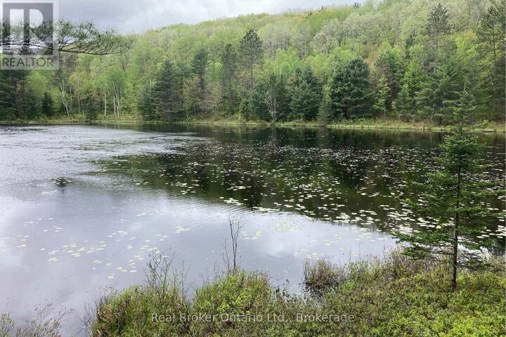 Property Photo:  8145 Highway 17 Highway East  ON P0H 2E0 
